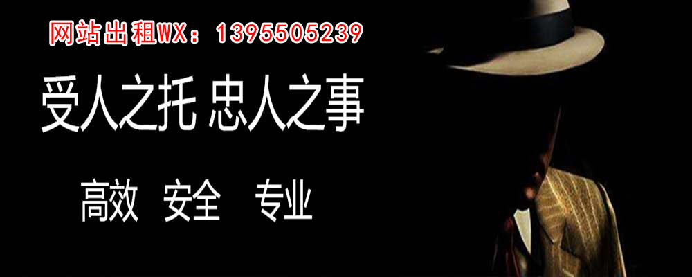 带岭市私人侦探